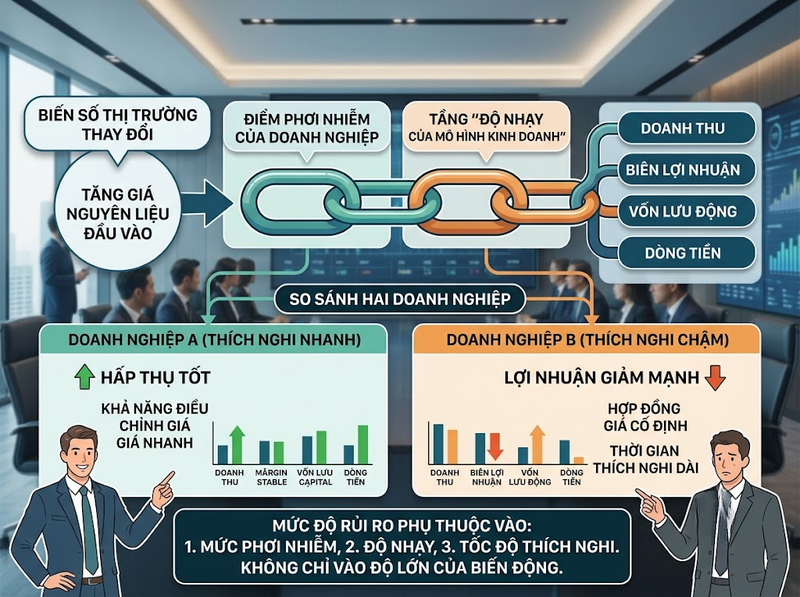 Biến động thị trường và rủi ro doanh nghiệp phát sinh qua những thay đổi nào?