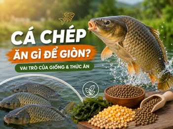 Tác giả La Thị Minh Tuyết