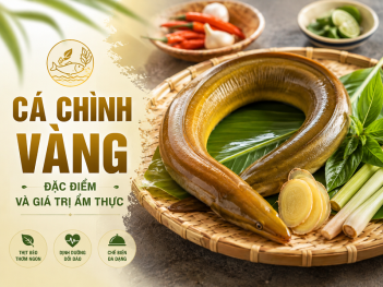 Tác giả Hồ Gia Mỹ Linh