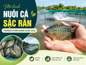 Tác giả Lưu Minh Nhật