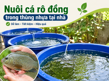 Tác giả Lê Khánh Sơn