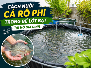 Tác giả Hoàng Đức Thành